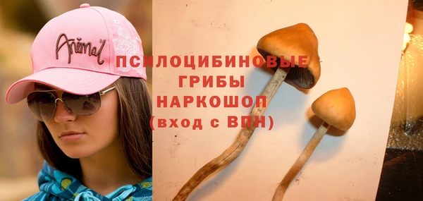 МДПВ Арсеньев