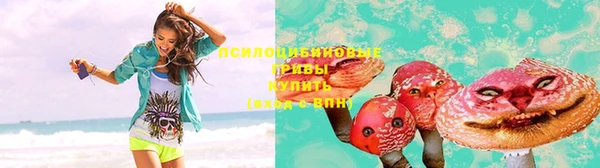 круглые Аркадак