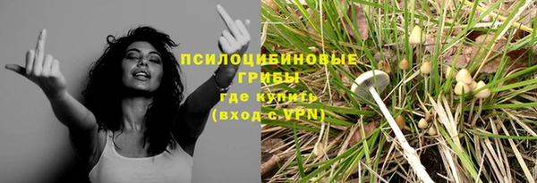 МДПВ Арсеньев