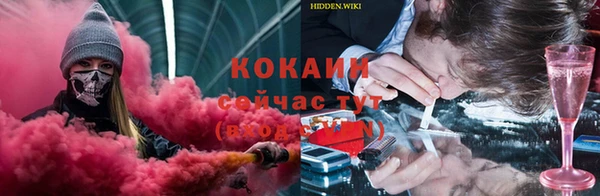 круглые Аркадак