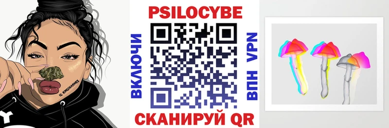 Псилоцибиновые грибы ЛСД  купить наркотик  Ельня 